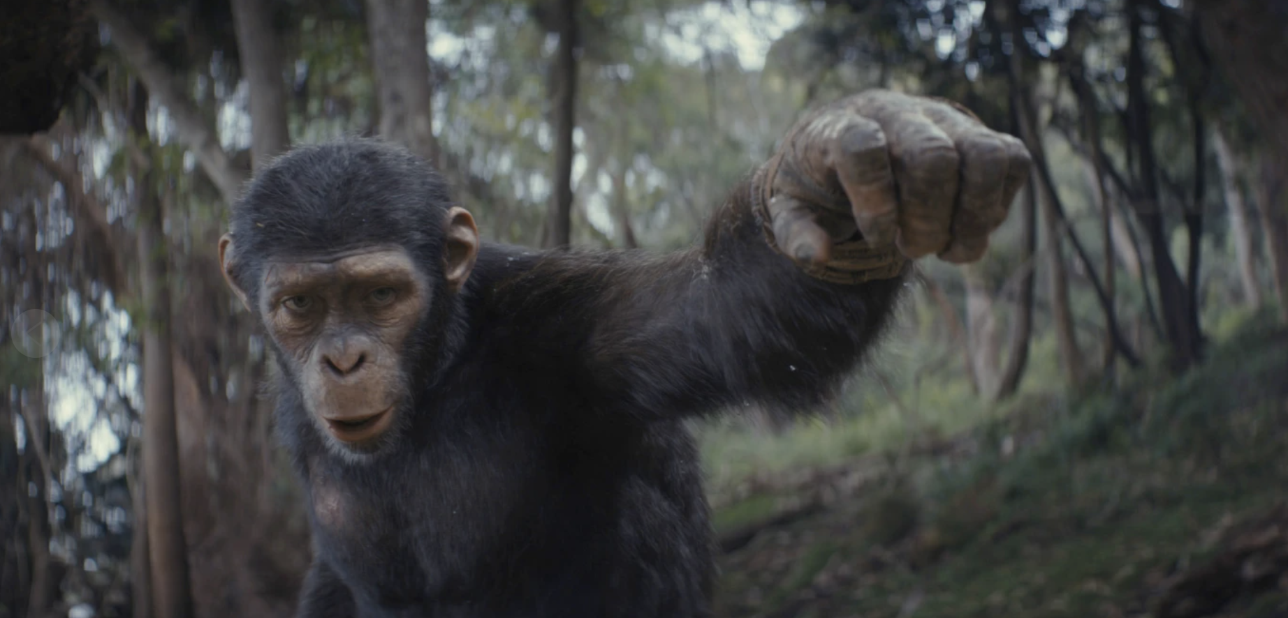 ‘Kingdom of the Planet of the Apes’ finds a new hero and will blow your mind